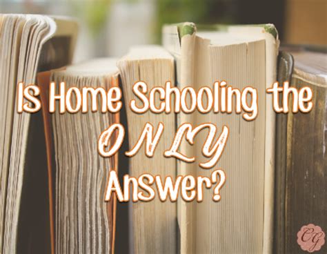 The process of teaching or being taught in a school. Is Home Schooling the ONLY Answer? | Homeschool spanish ...