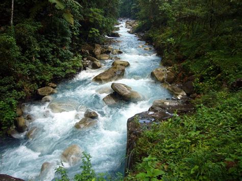 Experimente La Belleza Fascinante De Los Ríos Azules En Costa Rica