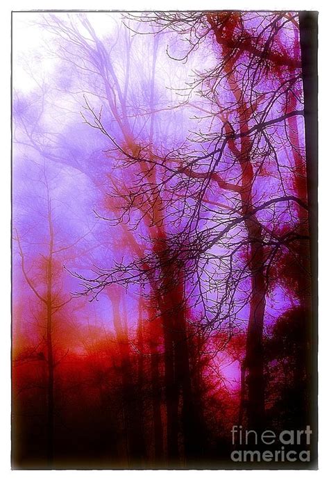 Misty Morning Photograph By Judi Bagwell Fine Art America