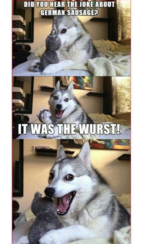 Pun Husky Funny Dog Memes Animal Jokes Dog Jokes