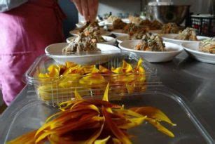 Harga bibit bunga matahari terkini. 11 Daftar Edible Flowers (Bunga yang Bisa Dimakan) | Bibit ...