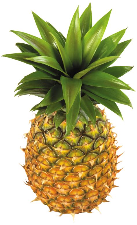 Pineapple Transparent Png Full Hd Png