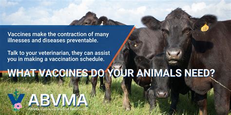 Vaccinations are Critical for Your Animals' Health | Alberta Animal