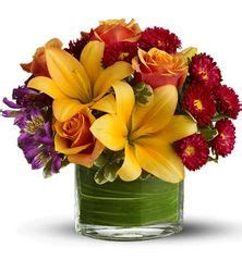 Metropolitan plant exchange lived on month day 1999, at address. Metropolitan Plant and Flower Exchange :: Fort Lee, West ...
