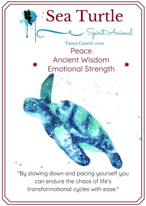 Sea Turtle Spirit Animal Symbolism Meaning And Watercolor Paintings
