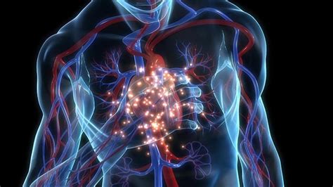 Enfarte Agudo Do Miocardio Sintomas Que Es El Infarto De Miocardio