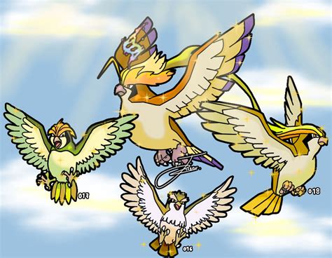 Pidgey Line Evolution Shiny By Mrjhons900 On Deviantart