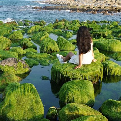 Mặt tiền đường nhựa suối kiết tánh linh bình thuận. TOP 5 bãi biển Bình Thuận đẹp như "tranh vẽ" - Du lịch ...