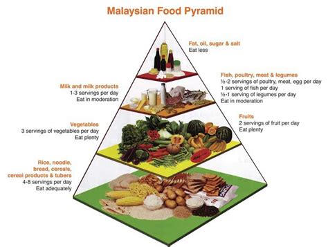 Apa Yang Anda Faham Tentang Piramid Makanan