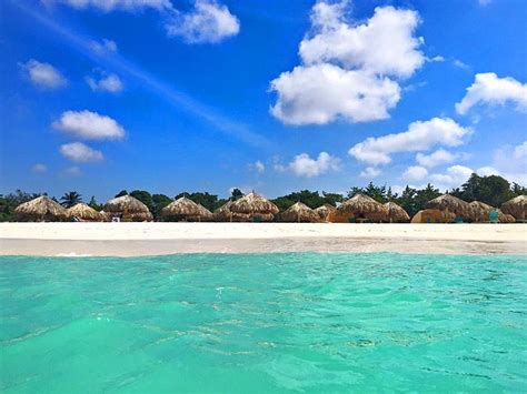 La Quinta Beach Resort Palmeagle Beach Aruba Omdömen Och