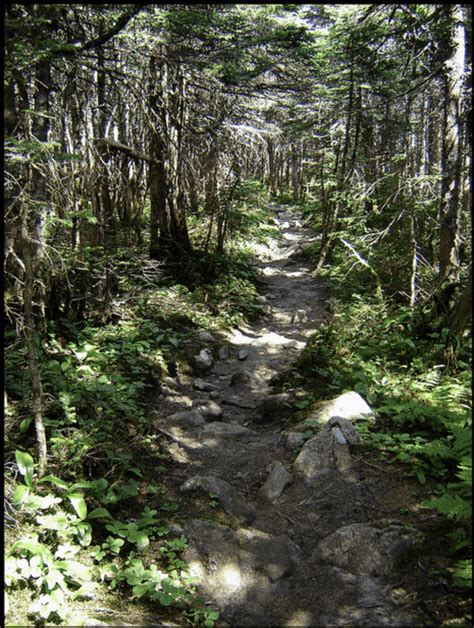 Pemi Loop New Hampshire Backpacking Trail Guide My Open Country