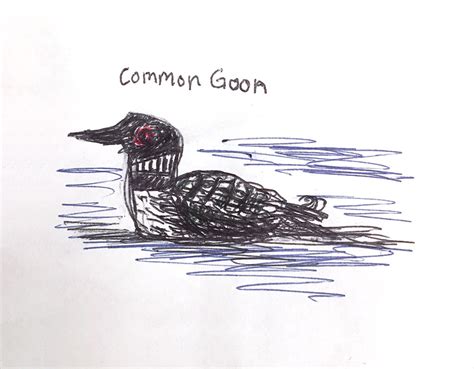 This is a very original, but very irreverent field guide to birds of north america. Field Guide to Dumb Birds of North America — Common Goon They stick out in the wild like...