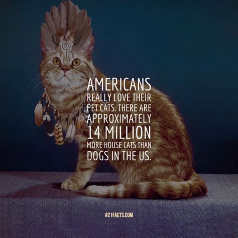 Interesting facts about Cats that make you love them even more - Page 10 of 21 - TwentyOneFacts