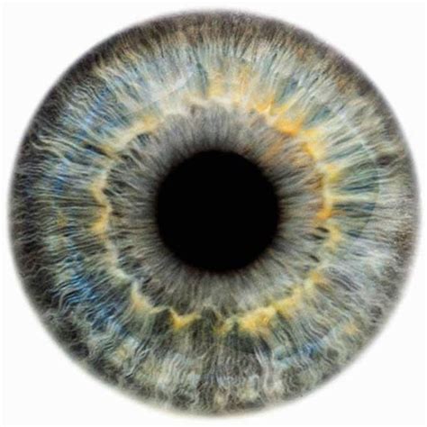 Eyescapes An Amazing Collection Mandala Madness Eye Texture Iris
