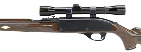 Remington Nylon 66 22 Lr Caliber Rifle For Sale