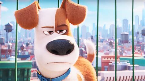 The Secret Life of Pets: The Best Family Movie of the Year | We Live Entertainment