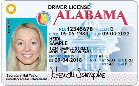 State Drivers Licenses Drivers License By State Usa Driving Licenses
