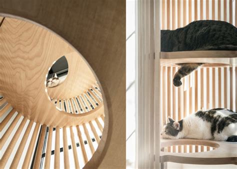 Beautiful Japanese cat tree for design-conscious pet ...