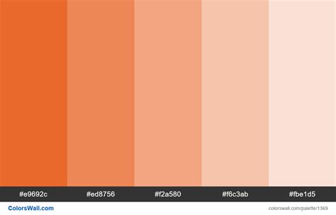 Deep Carrot Orange Color 5 Tints Hex Colors E9692c Ed8756 F2a580