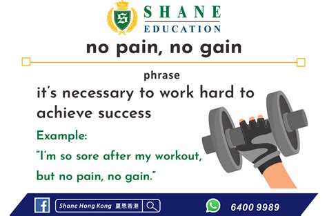 No Pain No Gain Shane Hk