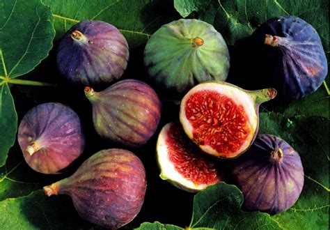 Learn How To Select Store And Cook With Fresh Figs Fresh Figs Fig