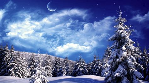 Download Wallpaper 1920x1080 Fur Trees Trees Clouds Snow Moon Sky