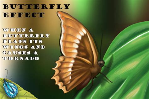 Butterfly Effect Examples