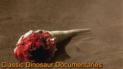 Top tv shows with similar genre to discovery channel documentaries. Classic Dinosaur Documentaries-(BBC-Discovery Channel ...