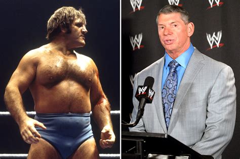 The Feud That Kept Bruno Sammartino Away From Wwe For 25 Years