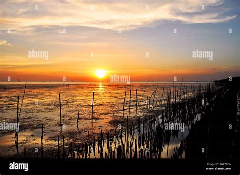 Twilight Sunset View From The Wetland Seacoast Stock Photo Alamy