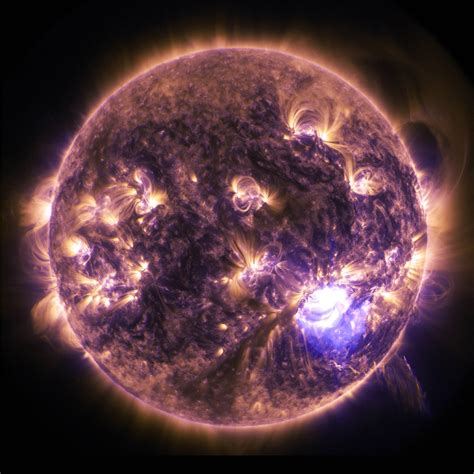 Sun Is Solar Type Star After All Scinews