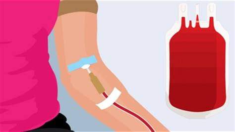 تعرف على 5 أسباب تمنعك من التبرع بالدم جريدة نورت
