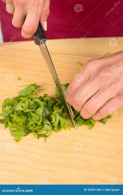 Cutting Parsley Stock Photo Image Of Chopping Fresh 29391784