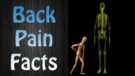 Chronic Back Pain Facts The Facts About Back Pain On Natural