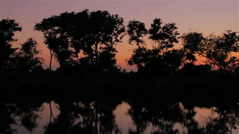 Louisiana Bayou Sunset Youtube
