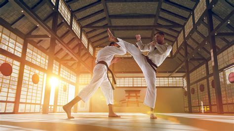 11 Extraordinary Facts About Martial Arts - Facts.net