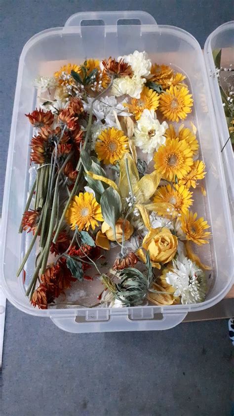 Buy dried wedding bouquets and get the best deals at the lowest prices on ebay! Keepsake using dried flowers from a Bride's Bouquet [Video ...