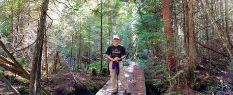 Pigeon River Country State Forest Trekers