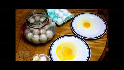 Preserving Eggs In Sodium Silicate Water Glass 10 Months Later Youtube