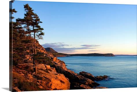 Maine Mount Desert Island Acadia National Park Dawn At Otter Cliffs