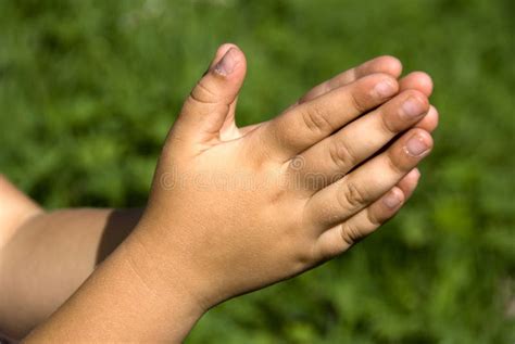 Child Hands Praying Stock Photos Image 10482393