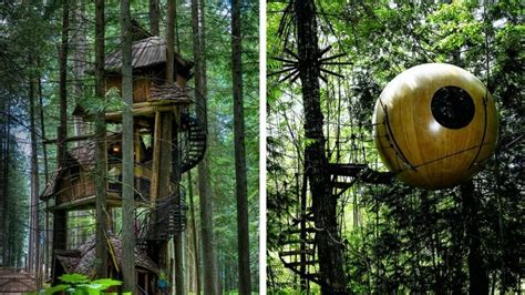 Once You Get Through This Amazing Tree Houses Gallery And That Is