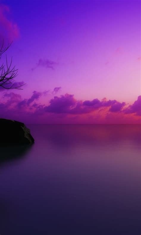 Scenic Ocean Sunset Wallpaper 877 480x800 Wallpaper Hd