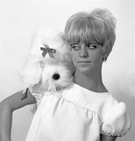 Funny Girl These Vintage Goldie Hawn Photos Will Make Your Day