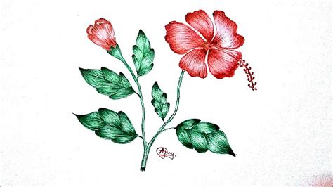 Hibiscus Flower Drawing Step By Step Free Download On Clipartmag