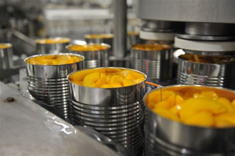 Chinas Progress In Fruit Processing Machinery And Technology