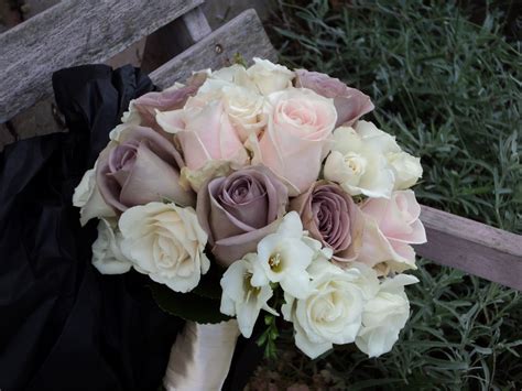 Darling And Wild Amnesia And Sweet Avalanche Roses