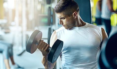10 Healthiest Full Body Dumbbell Workouts For Fitness Lovers Starmark