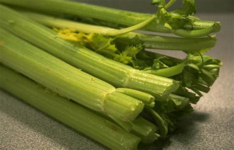 It can grow to the size of a potato. Celery: Planting, Growing, and Harvesting Celery Stalks ...