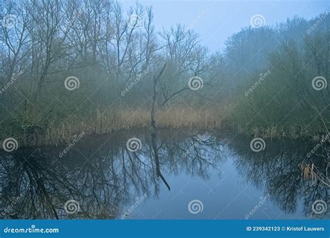 Misty Marsh Landscape In The Flemish Countryside Stock Image Image Of